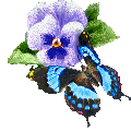 Airiny